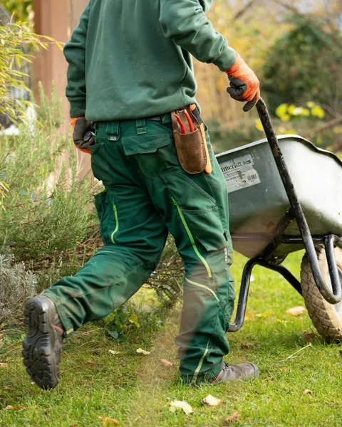 A landscaper pushing a wheelbarrow across a lawn